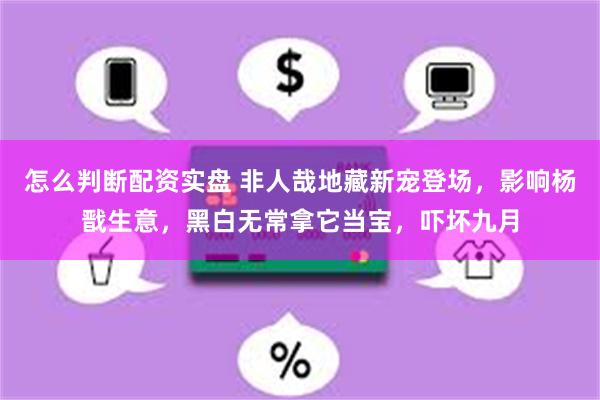 怎么判断配资实盘 非人哉地藏新宠登场，影响杨戬生意，黑白无常拿它当宝，吓坏九月