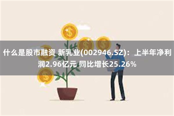 什么是股市融资 新乳业(002946.SZ)：上半年净利润2.96亿元 同比增长25.26%