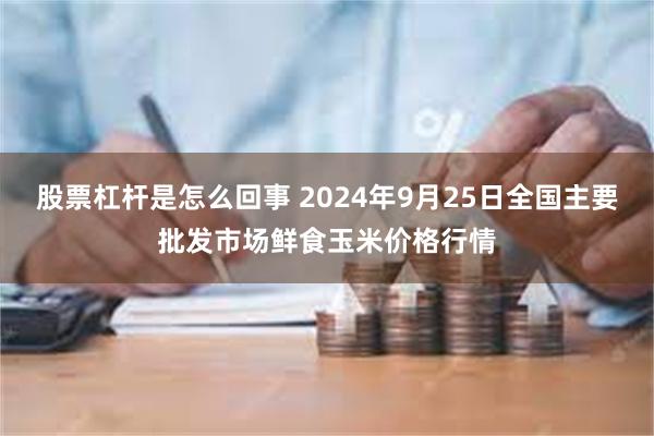 股票杠杆是怎么回事 2024年9月25日全国主要批发市场鲜食玉米价格行情