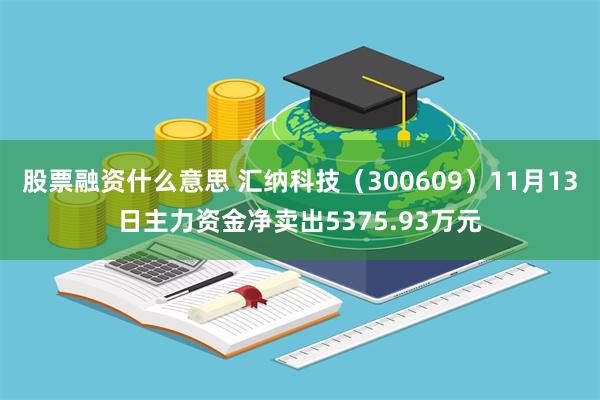 股票融资什么意思 汇纳科技（300609）11月13日主力资金净卖出5375.93万元