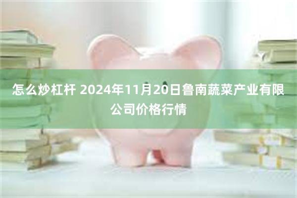 怎么炒杠杆 2024年11月20日鲁南蔬菜产业有限公司价格行情