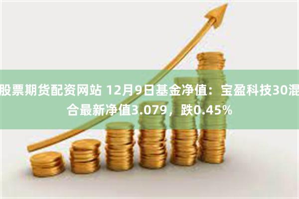 股票期货配资网站 12月9日基金净值：宝盈科技30混合最新净值3.079，跌0.45%