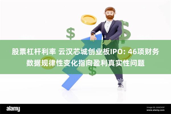 股票杠杆利率 云汉芯城创业板IPO: 46项财务数据规律性变化指向盈利真实性问题